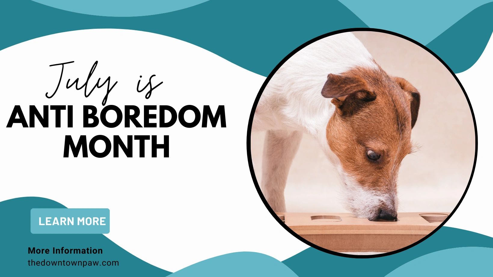 The Downtown Paw Dog Daycare & Grooming Malden, Massachusetts